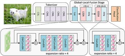 SGLFormer: Spiking Global-Local-Fusion Transformer with high performance